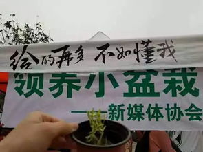 文化傳播類 新媒體協(xié)會(huì)